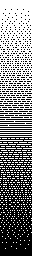 full 2×2 block Floyd-Steinberg gradient